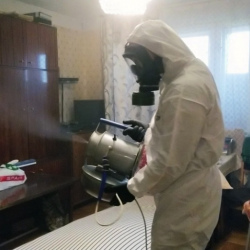 Дезинфекция от клопов в Бузулуке